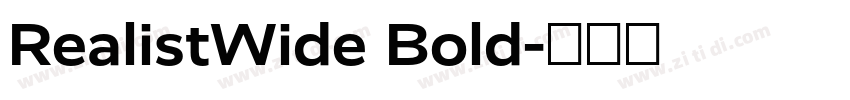 RealistWide Bold字体转换
